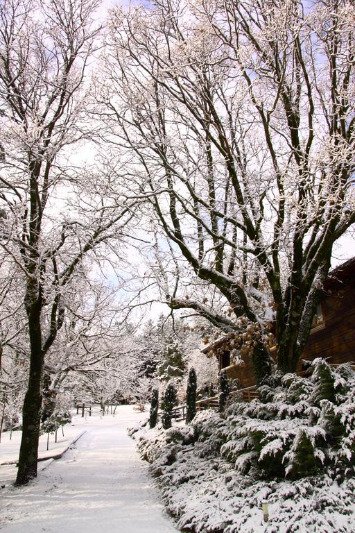Hotel Rural Las Rozuelas Cercedilla Zewnętrze zdjęcie